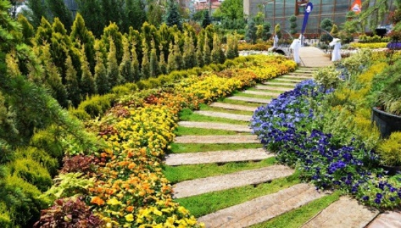 Pandemide doğayı balkona taşıdık