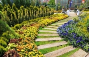 Pandemide doğayı balkona taşıdık