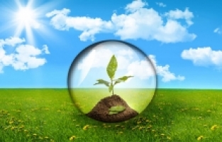 Covid değişim ve talep yarattı