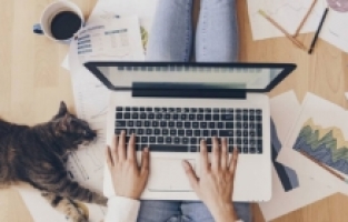 İş yerleri küçülüyor