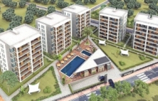 Balat'a değer katıyor