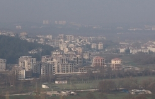 Yıldızı parlayan bölge: Kayapa