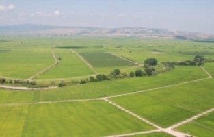 2021 yılının yatırım yıldızı: Toprak