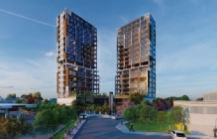 İş hayatının yükselen yıldızı