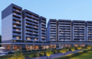 Aryap Vitrin’de yaşam başladı