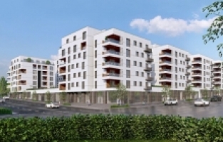 Yeni bir başlangıç Kayapa’da