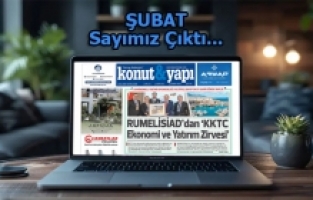 Şubat  Sayımız Çıktı...