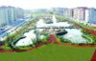 Aktaş Holding’ten bir dünya markası:Lineflex 