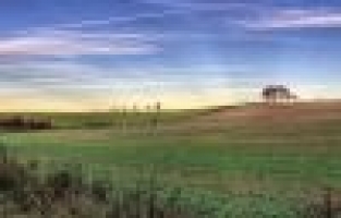 Çalımlıoğlu: Arazi yıllandıkça değerlenir