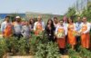 Çalışanların motivasyon adresi, VİKO hobi bahçesi