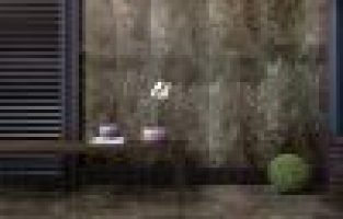 Doğallığın Yıldızı Fossil