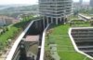 İnşaat sektöründe yeni trend yeşil çatılar