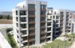 Park Orman Evleri'nde yaşam başladı