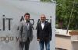 Yenişehir'in taşı toprağı altın