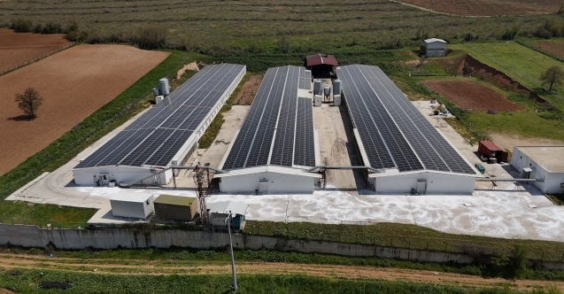 Köklü geçmiş, modern vizyon : Yıldız Grup