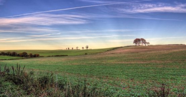 Çalımlıoğlu: Arazi yıllandıkça değerlenir
