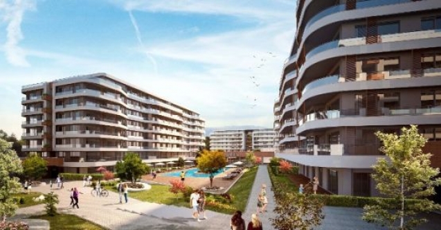 Panula Balatla ayrıntılardaki farkı keşfedin